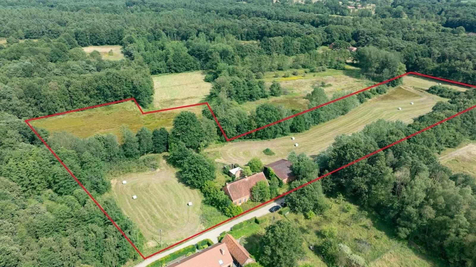 Landhuis op ca. 2,7 hectare tussen bossen en weilanden te Meerhout