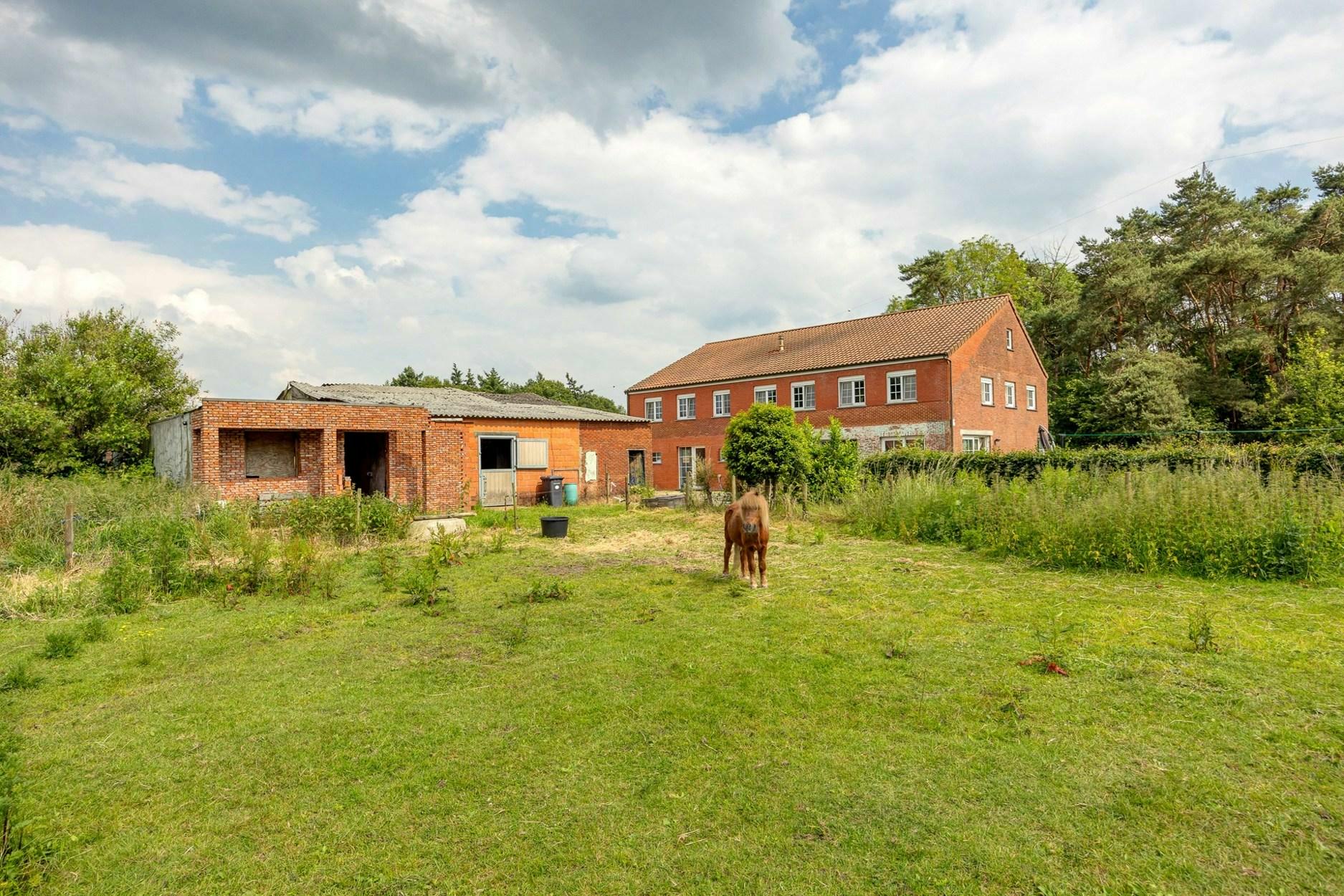 Gerenoveerde hoeve op ca. 2ha te Pulderbos (Zandhoven)!