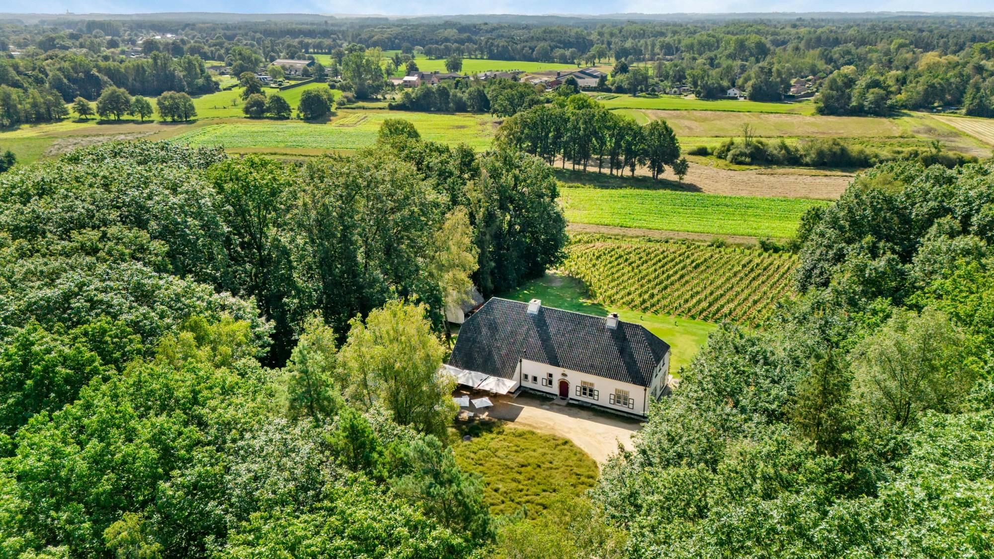 Prachtig wijndomein te Herselt op een perceel van circa 5,1 hectare