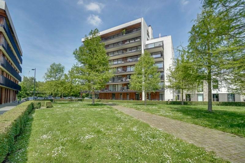 Dakappartement te Hasselt