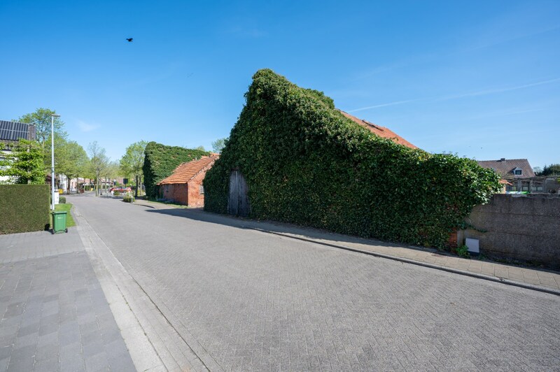 Boerderij te Hoogstraten